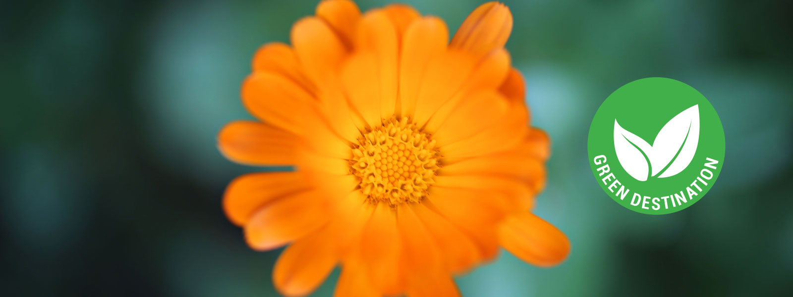 Green Destination